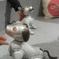 「ロボットペットはアリなのか？」たしかに犬っぽいAIBOに感心