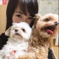 写真は川栄李奈のTwitterから