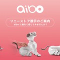 【先週の注目ニュース】Apple新宿オープンに行列／ソニーのロボット「aibo」店頭販売／楽天のキャリア参入が決定