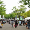 【ワンコとお出かけ Vol.9】「代々木公園わんわんカーニバル2018」にGO！ ワンコ目線で歩いてみた