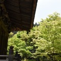 歌人が歌に詠んだ小倉山の自然を感じることができる
