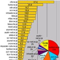 円グラフは沖縄と九州における測定件数のシェア。棒グラフはシェアトップ25のドメインの平均ダウンロード速度（ダウン速度）で横軸の単位はMbps。最速のドメインはctb.ne.jp、シェアトップはbunbun.ne.jpで共に地元勢であった