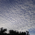 夕方の空。流れる雲の様子が美しくて思わずシャッターを押した