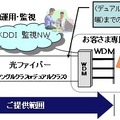 マネージドWDMサービスの概要