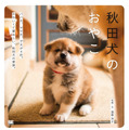 むくむくもふもふ......秋田犬親子の成長が一冊の写真集に！