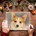 【ワンコとお出かけ Vol.28】ワンコをモデルに、自宅でクリスマス用画像を作ってみた