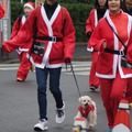 「東京グレートサンタラン 2018」