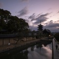 今まで知らなかった京都！「京の冬の旅」をちょっぴり体験