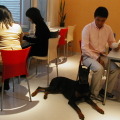 マナー教室の「カフェ篇」では、カフェにいるとき必要になるしつけが紹介されている
