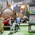 【ワンコとお出かけ　Vol.33】「2019 ペット総合展示会」参加レポート