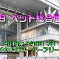 【ワンコとお出かけ　Vol.33】「2019 ペット総合展示会」参加レポート