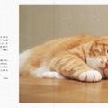 新しい家族のもとで暮らす元保護犬、保護猫たちが写真集に