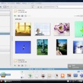 Picasa 3.1の画面