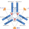 多地点テレビ会議システムの構成