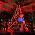 「STAR WARS Marunouchi Bright Christmas 2019 -Precious for you- クリスマス点灯式」【写真：竹内みちまろ】