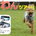 専用シートカバーやシートベルトも......愛犬参加型バスツアー「vipわんツアー」登場