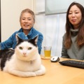 【ペットと出勤できる会社】“猫とともに働く”IT企業「ファーレイ」