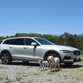 ボルボ V60 クロスカントリー