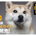 雑誌版『柴犬ライフ』が季刊誌に！冬号表紙はインスタフォロワー28万人“もぐちゃん”