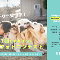 enkara、ドッグフォトコンテスト開催！第一回テーマは“犬と子どもの日常”