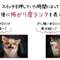 （C）2020 「犬鳴村」製作委員会