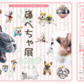 鼻ぺちゃ犬の合同写真展＆物販展「鼻ぺちゃ展 2020 in 広島」