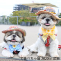 鼻ぺちゃ犬の合同写真展＆物販展「鼻ぺちゃ展 2020 in 広島」