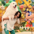 (c)フジテレビ