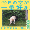 小学館『今日の空が一番好き、とまだ言えない僕は』著／福徳秀介（C）福徳秀介／小学館