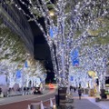 iPhone 12 Pro MAXでHDR夜景動画を撮影！6.7インチ大画面は編集にも強み