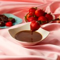 バレンタインにも！とろ～り新感覚な舌触りのチョコレートリキュール「TOROCHOCO」発売