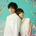 セクゾ中島健人＆松本穂香共演の恋愛映画『桜のような僕の恋人』制作決定！Netflixで2022年配信