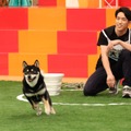 朝倉海と愛犬・大吉（c）フジテレビ