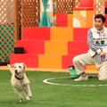 肥後克広（ダチョウ倶楽部）と愛犬・礼音（c）フジテレビ