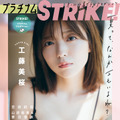 『プラチナムSTRiKE！』（主婦の友インフォス）