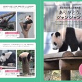 『パンダぴあ』（ぴあ）