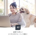 ビジネスホテルで愛犬と一緒に宿泊できるリーズナブルなプランが登場！