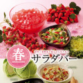 ブロンコビリー、新鮮な春野菜をたっぷり使った「サラダバー」9日から