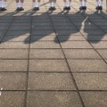 乃木坂46の5期生