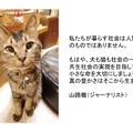 パナソニック、「保護犬猫譲渡会」開催！来場時にステッカーがもらえるSNSキャンペーンも