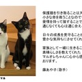 パナソニック、「保護犬猫譲渡会」開催！来場時にステッカーがもらえるSNSキャンペーンも