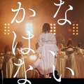 櫻坂46、ついに新メンバーオーディション開始！テーマは「咲かない⼈は、いない。」