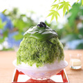 宇治抹茶だいふく氷(JR・祇園)