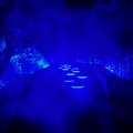 【GO WITH わんこツアー】わんことヨガ体験や島観光～2日目