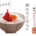 福岡土産の新定番？銘品「やまやの明太子」のせんべいとソースにクセになる人続出！