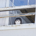 (C)2022「この子は邪悪」製作委員会