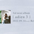adieu