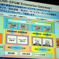 OSR-EPGW