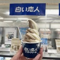 石屋製菓「白い恋人ソフトクリーム」（撮影：渡邉）