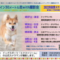 「ドッグスポーツエクストリーム」の公式カメラマン「STUDIO FUNTAS」